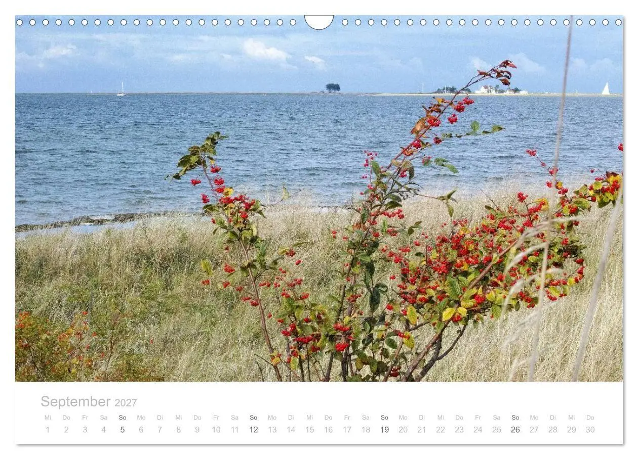 Bild: 9783594047330 | Zauberhafte Schlei (Wandkalender 2027 DIN A3 quer), CALVENDO...