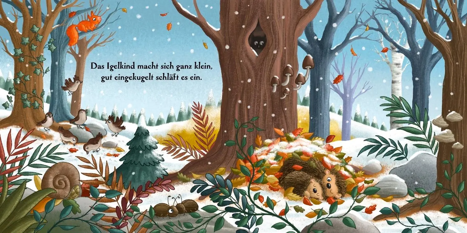 Bild: 9783751207430 | Ein ganzes Jahr hier im Wald | Henrike Lippa | Buch | 66 S. | Deutsch