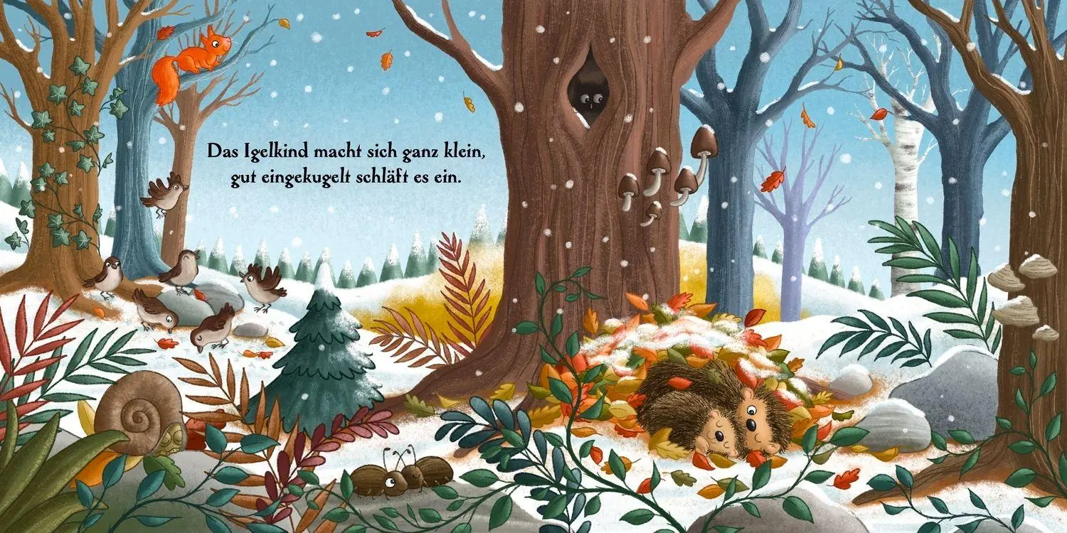Bild: 9783751207430 | Ein ganzes Jahr hier im Wald | Henrike Lippa | Buch | 66 S. | Deutsch