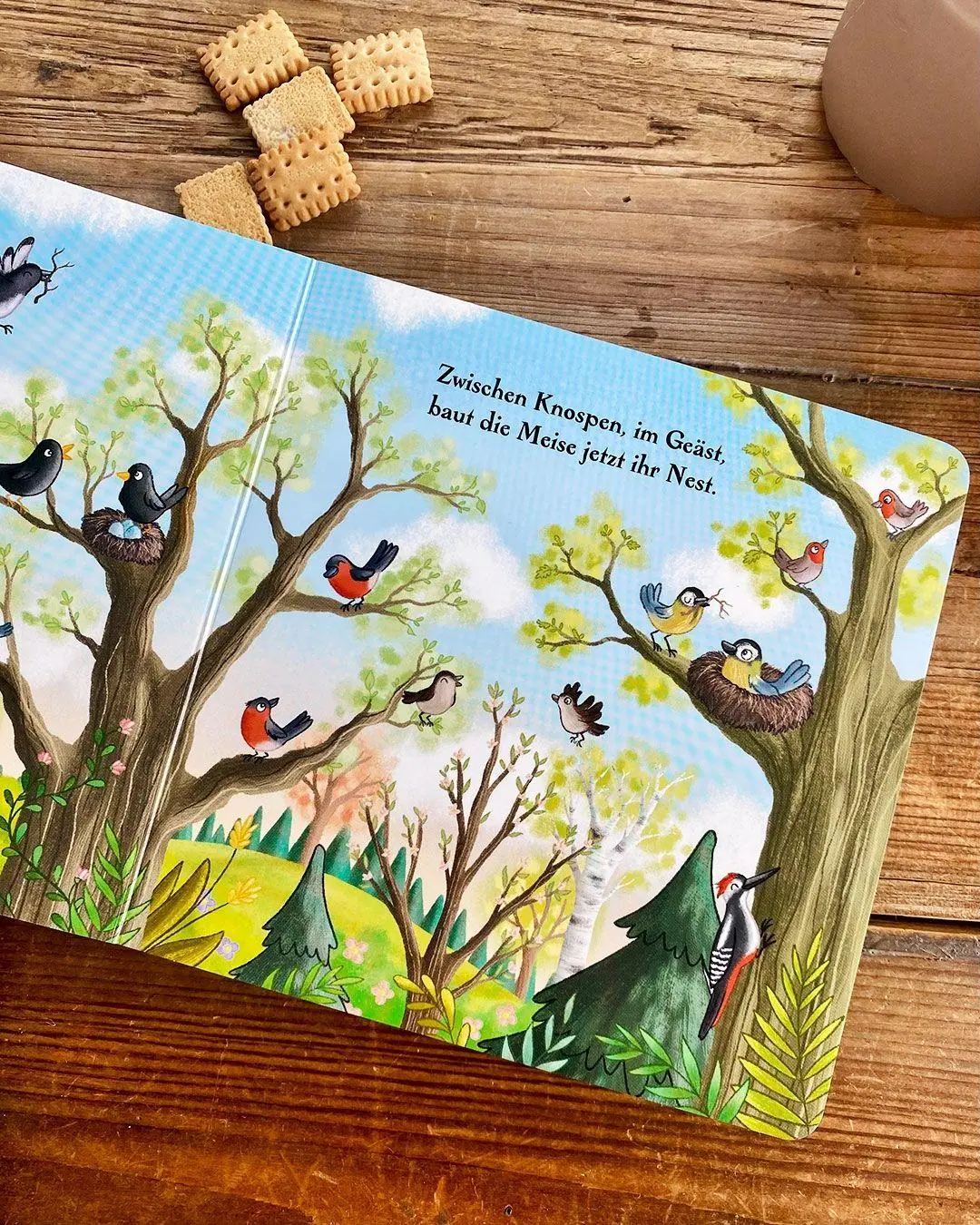 Bild: 9783751207430 | Ein ganzes Jahr hier im Wald | Henrike Lippa | Buch | 66 S. | Deutsch