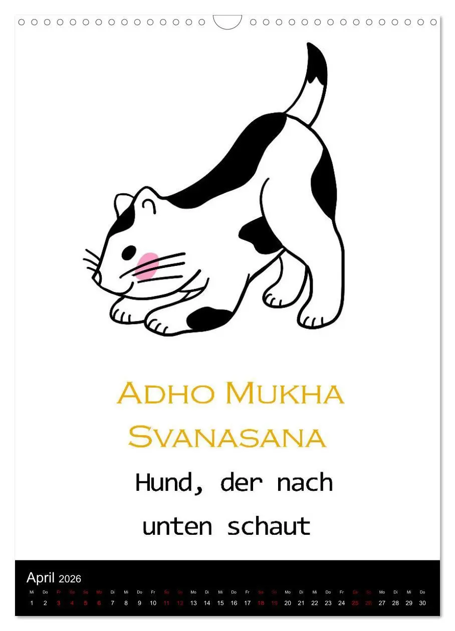 Bild: 9783516357530 | Yogakatzen - ganz entspannt im Hier und Jetzt (Wandkalender 2026...