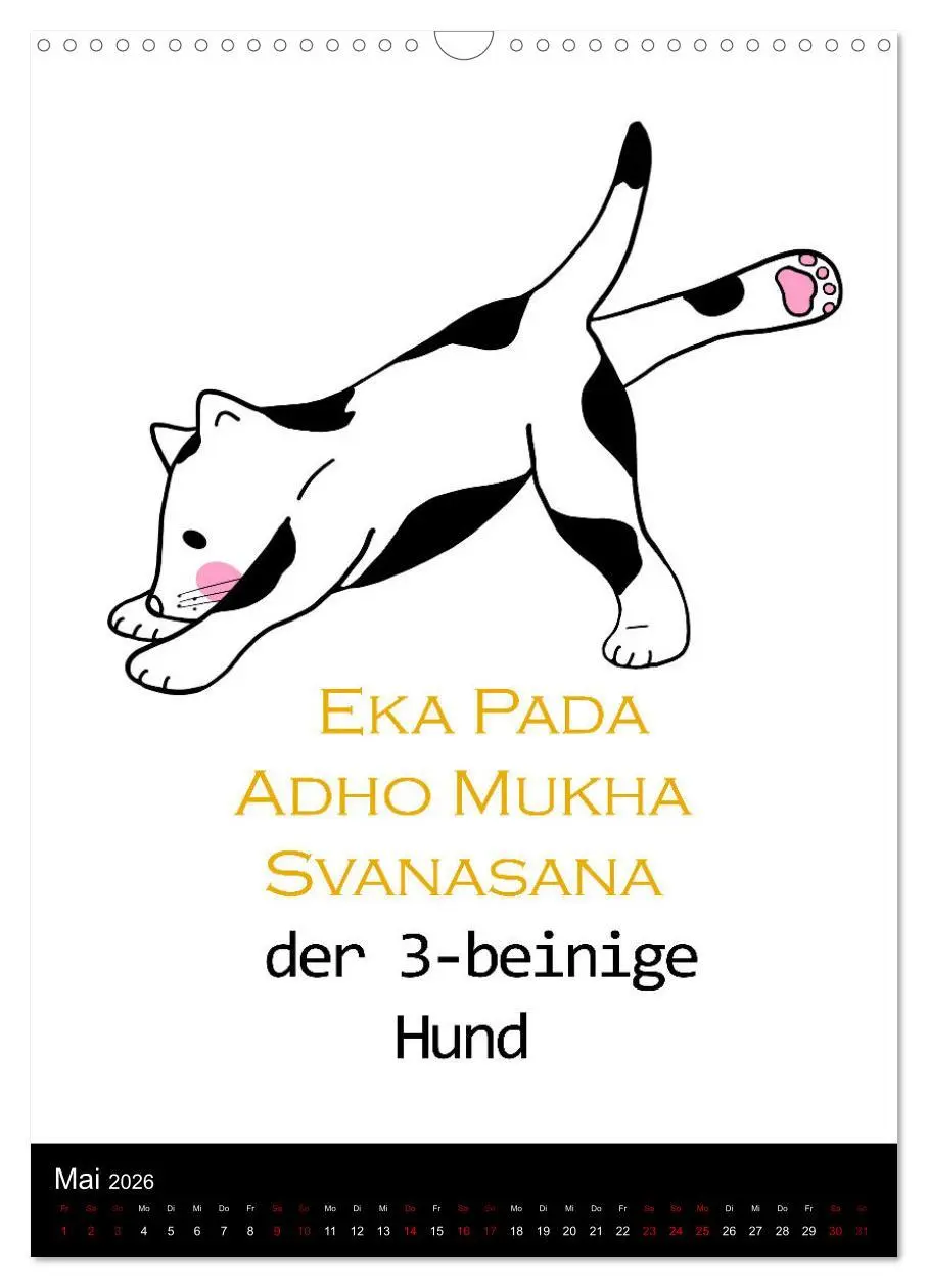 Bild: 9783516357530 | Yogakatzen - ganz entspannt im Hier und Jetzt (Wandkalender 2026...