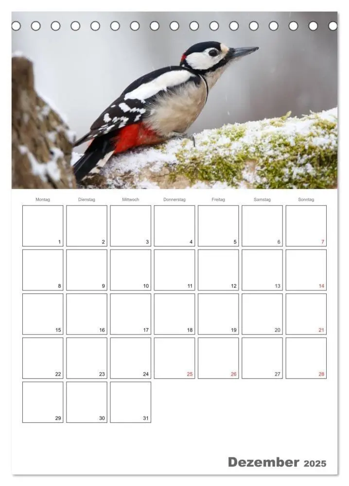 Bild: 9783457007730 | Vögel im heimischen Garten (Tischkalender 2025 DIN A5 hoch),...
