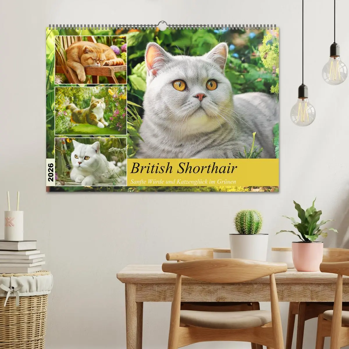 Bild: 9783516027730 | British Shorthair. Sanfte Würde und Katzenglück im Grünen...