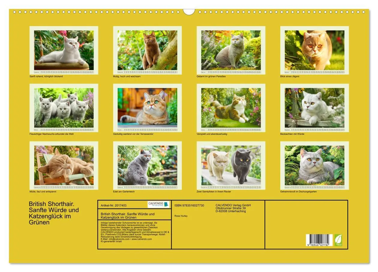 Bild: 9783516027730 | British Shorthair. Sanfte Würde und Katzenglück im Grünen...