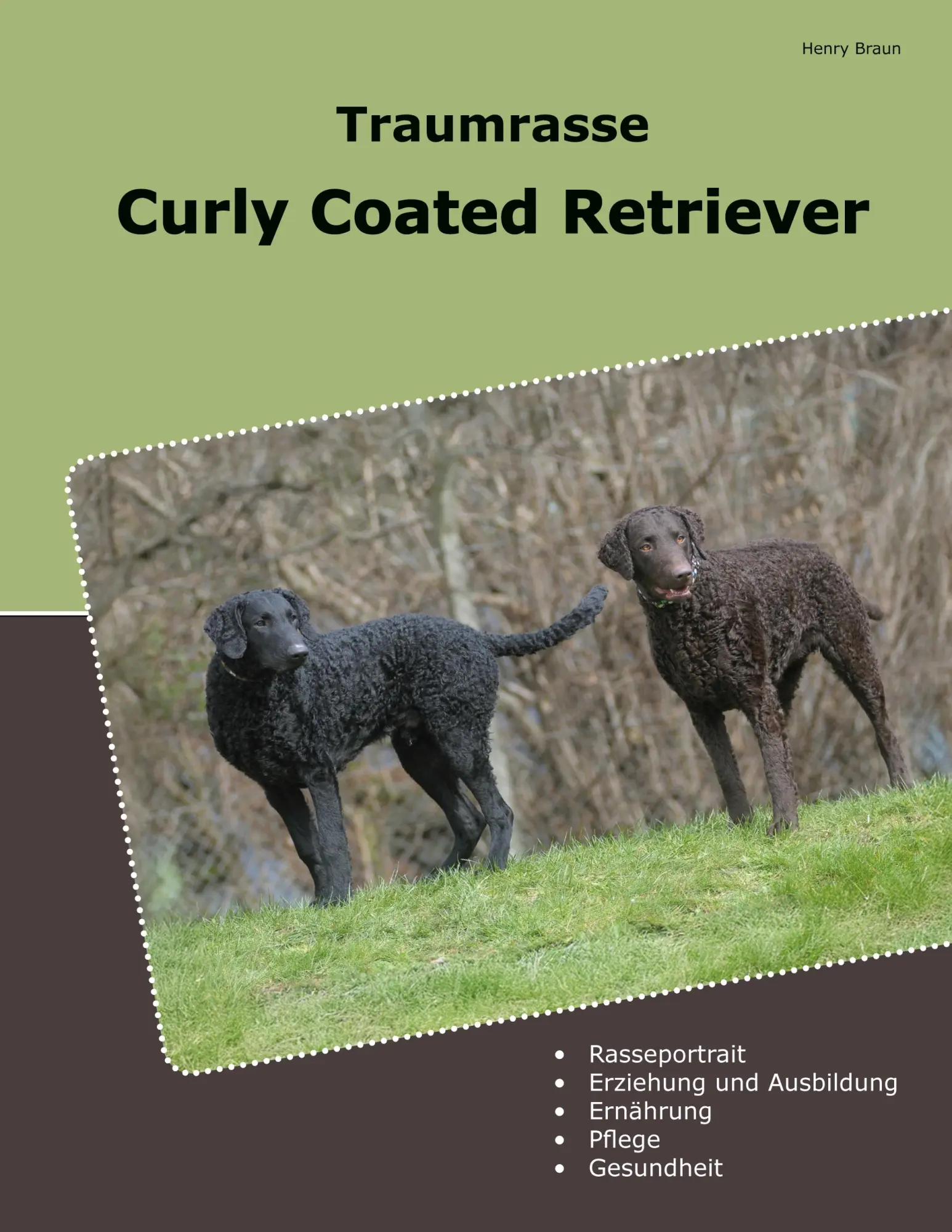 Cover: 9783819207730 | Traumrasse Curly Coated Retriever | Henry Braun | Taschenbuch | 190 S.