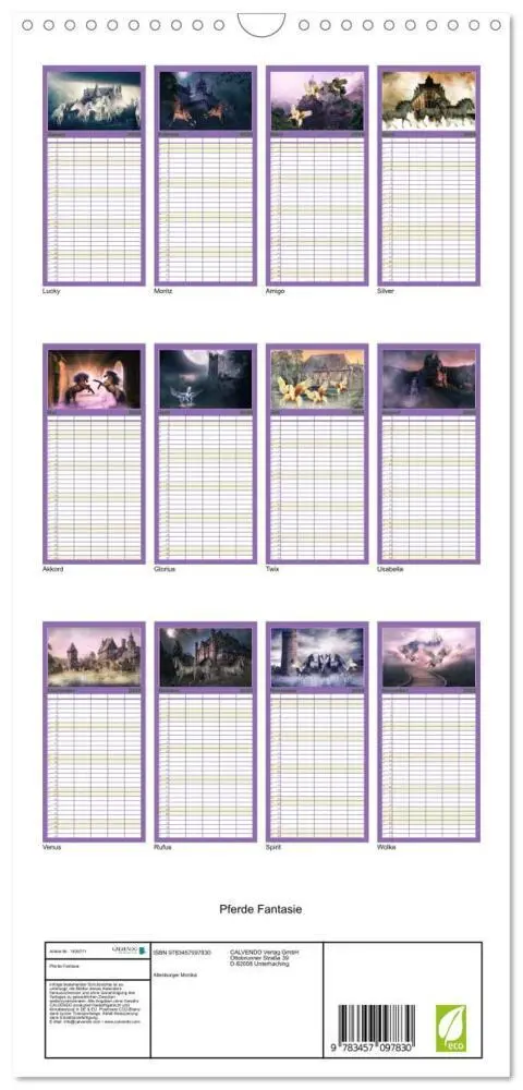 Bild: 9783457097830 | Familienplaner 2025 - Pferde Fantasie mit 5 Spalten (Wandkalender,...