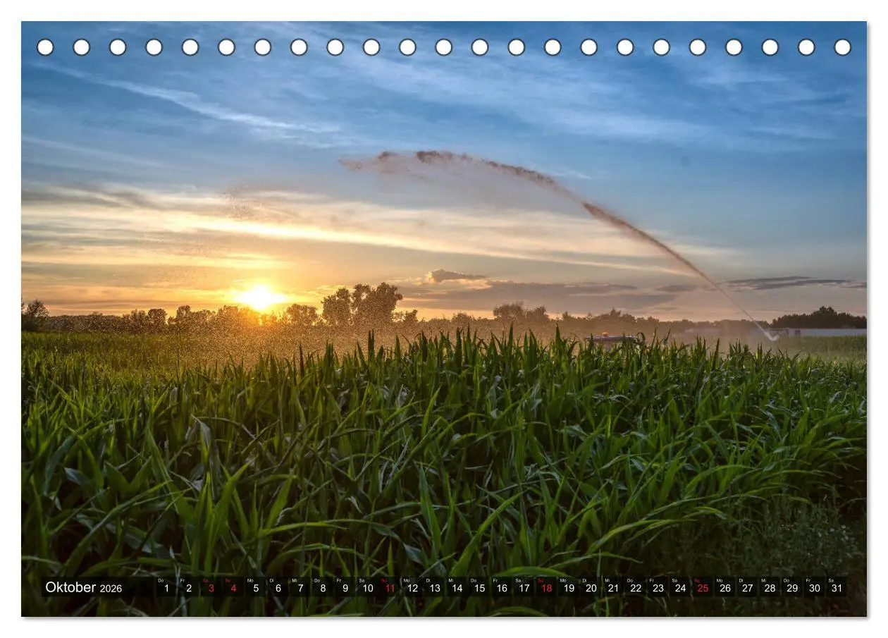 Bild: 9783457927830 | Ketsch am Rhein (Tischkalender 2026 DIN A5 quer), CALVENDO...