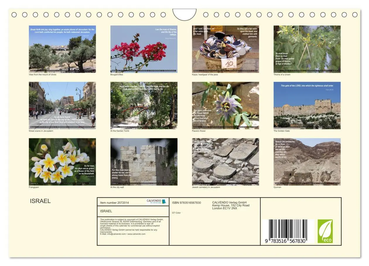 Bild: 9783516567830 | ISRAEL (Wall Calendar 2026 DIN A4 landscape), CALVENDO 12 Month...