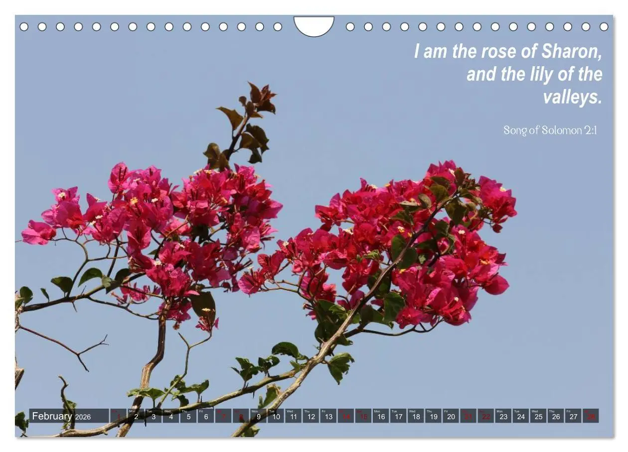 Bild: 9783516567830 | ISRAEL (Wall Calendar 2026 DIN A4 landscape), CALVENDO 12 Month...