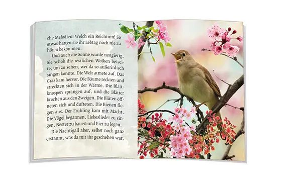 Bild: 9783869177830 | Das Märchen von der Nachtigall | Doris Bewernitz | Broschüre | 16 S.