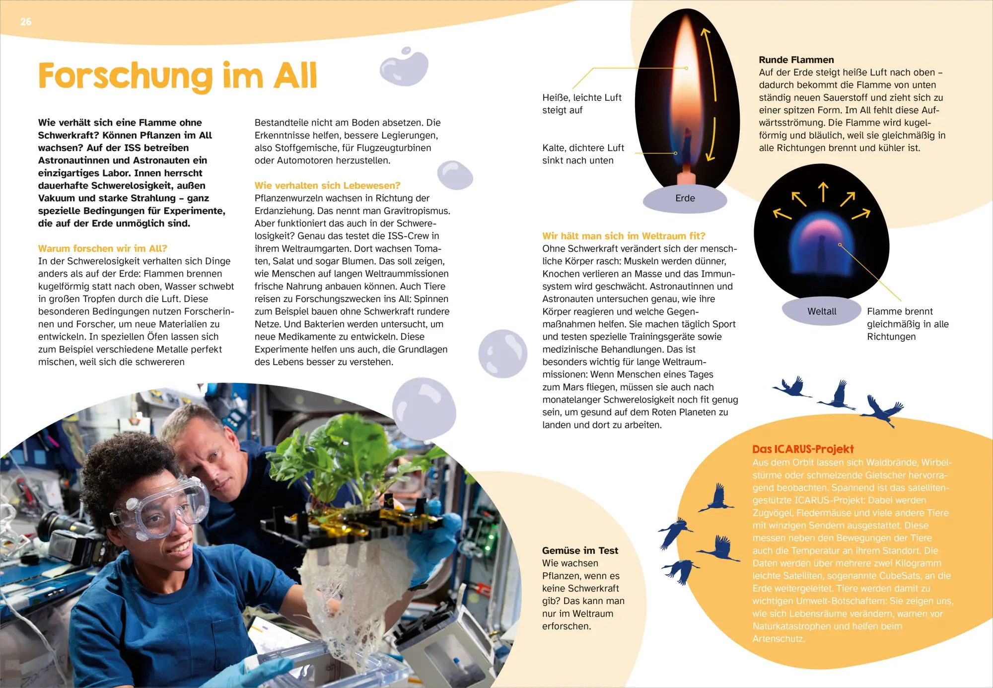 Bild: 9783788677930 | WAS IST WAS Wissenschaften easy. Bereit zum Start?! So funktioniert...