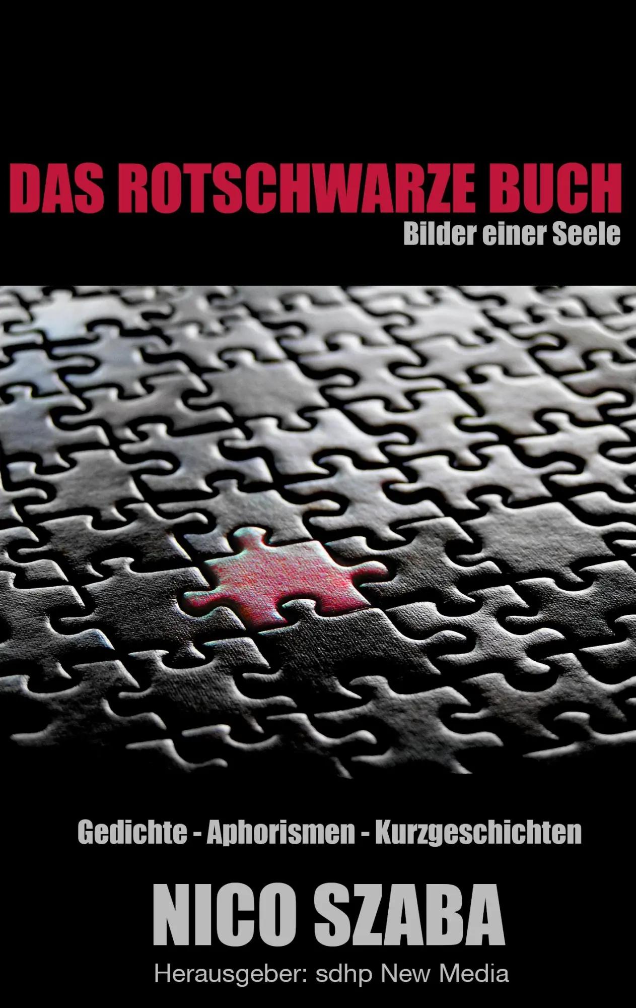 Cover: 9783848207930 | Das rotschwarze Buch | Nico Szaba | Taschenbuch | 116 S. | Deutsch