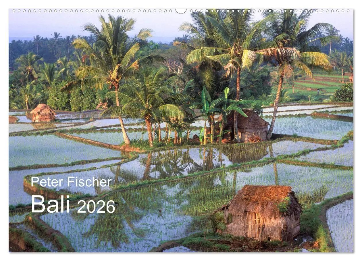 Cover: 9783516068030 | Peter Fischer - Bali 2026 (Wandkalender 2026 DIN A2 quer), CALVENDO...