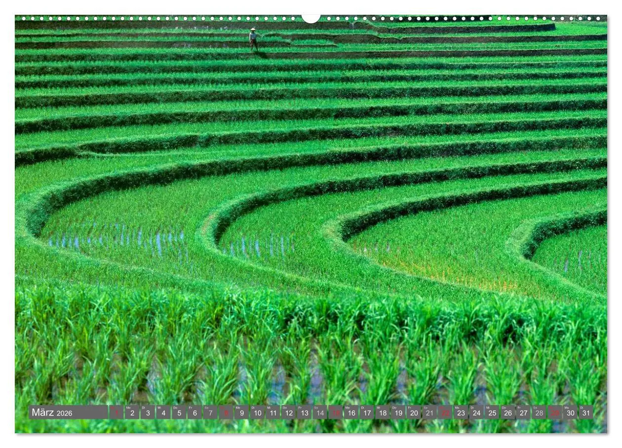Bild: 9783516068030 | Peter Fischer - Bali 2026 (Wandkalender 2026 DIN A2 quer), CALVENDO...