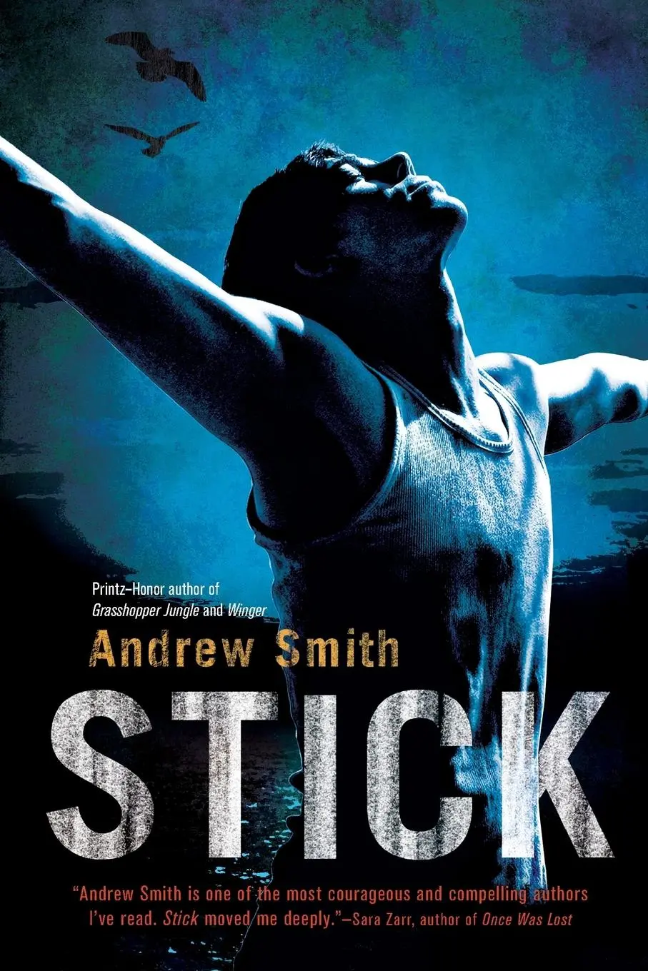 Cover: 9781250088130 | Stick | Andrew Smith | Taschenbuch | Kartoniert / Broschiert | 2015