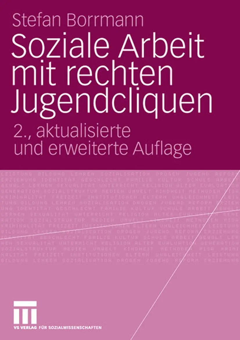 Soziale Arbeit mit rechten Jugendlichen - Stefan Borrmann Kartoniert (TB)
