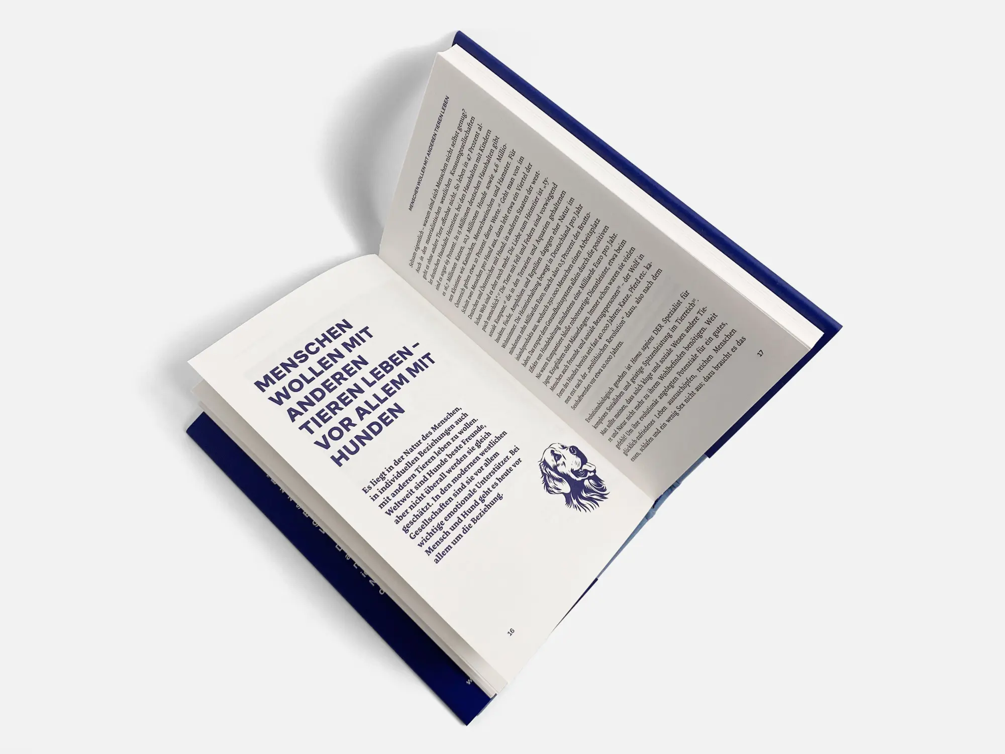 Bild: 9783710608230 | Warum Hunde uns zu besseren Menschen machen | Kurt Kotrschal | Buch