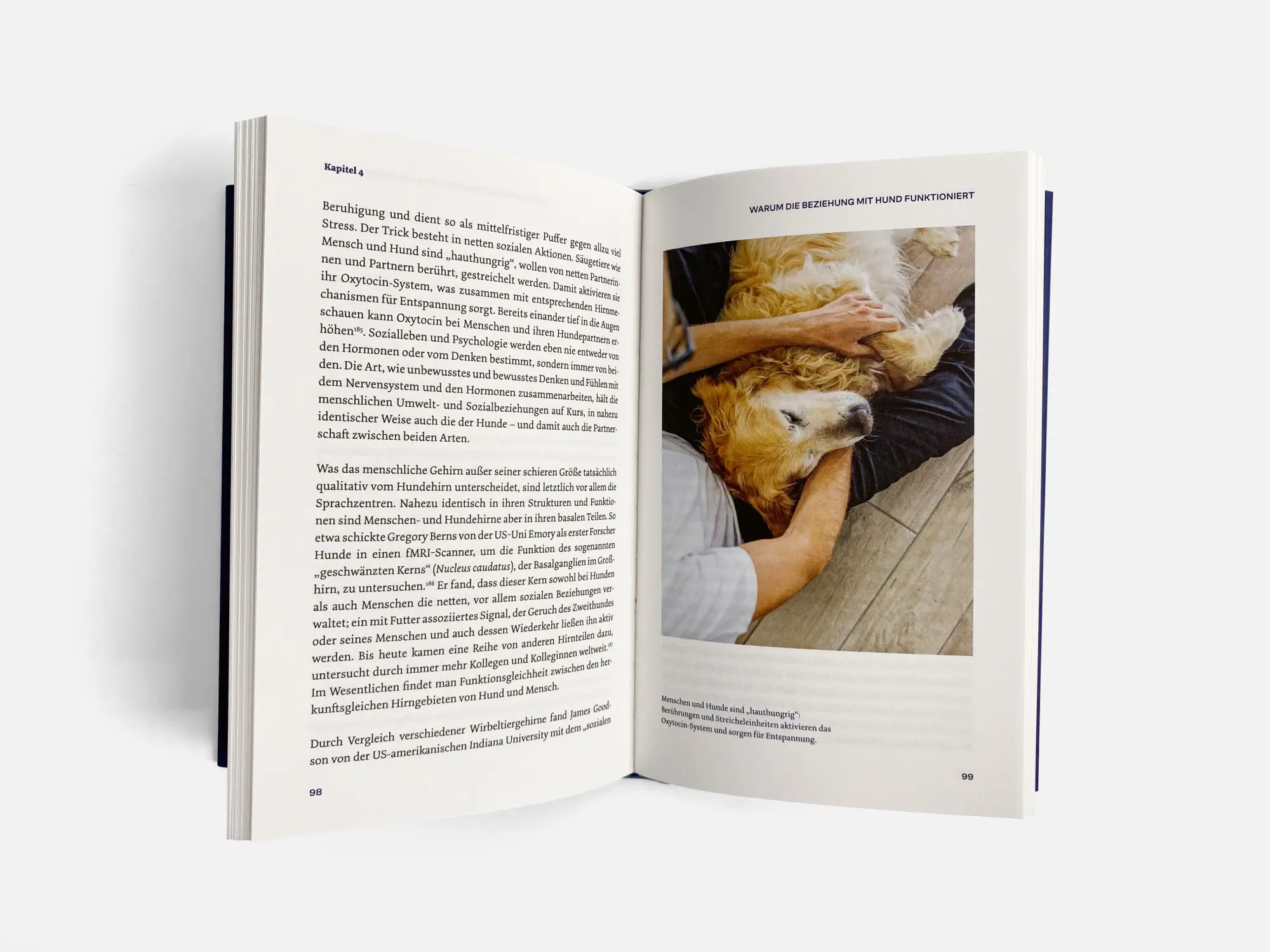 Bild: 9783710608230 | Warum Hunde uns zu besseren Menschen machen | Kurt Kotrschal | Buch