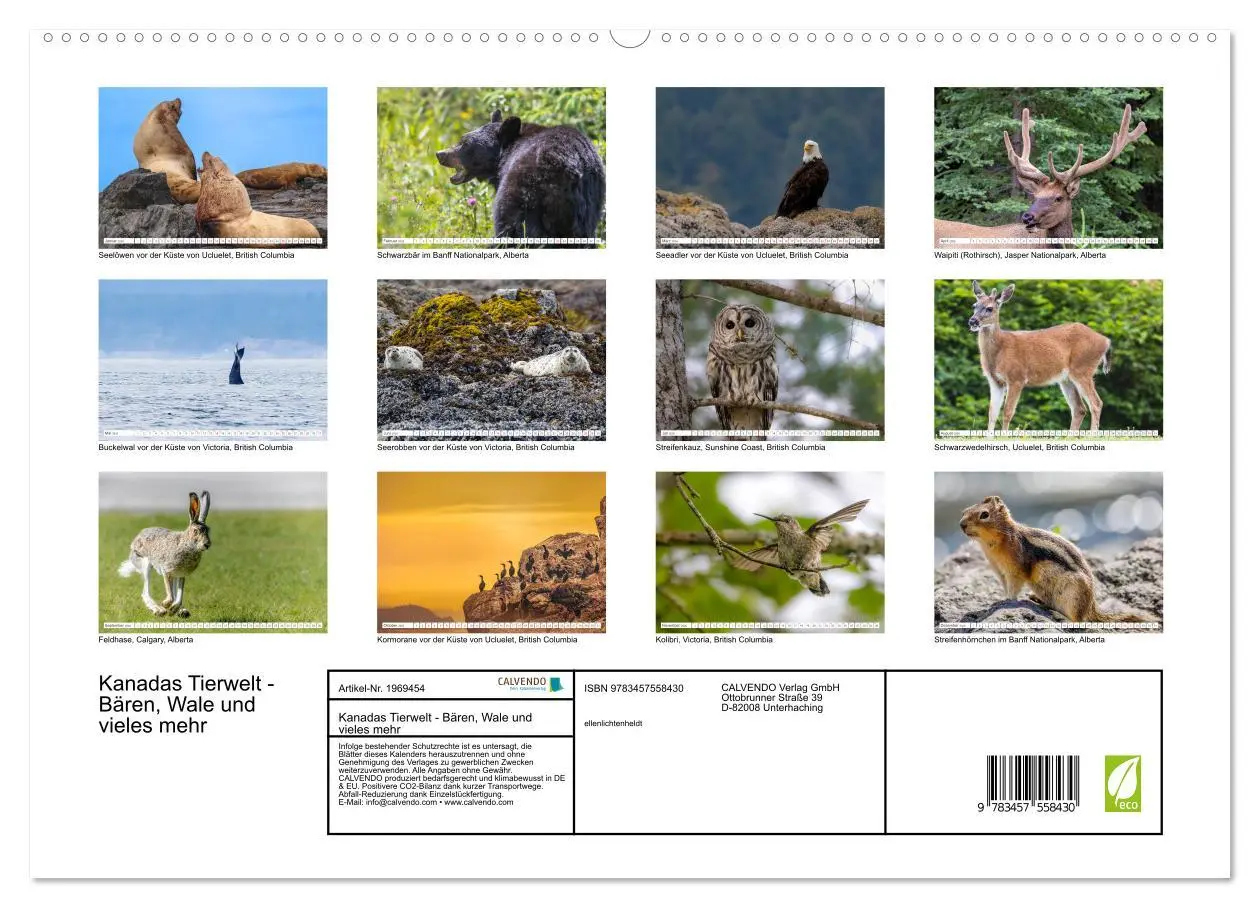 Bild: 9783457558430 | Kanadas Tierwelt - Bären, Wale und vieles mehr (hochwertiger...