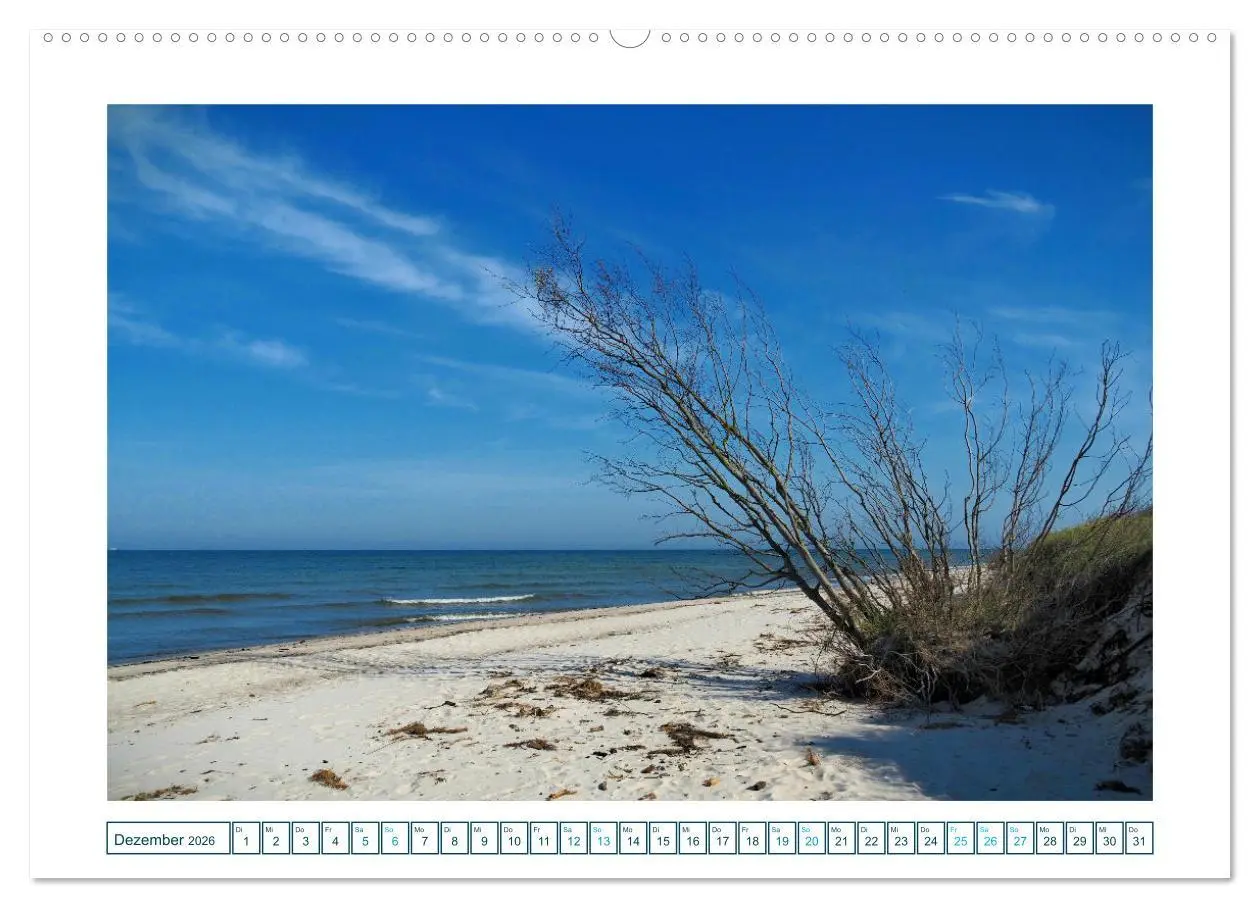 Bild: 9783457308530 | Der Weststrand am Darß (hochwertiger Premium Wandkalender 2026 DIN...