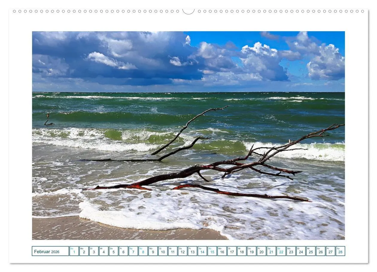 Bild: 9783457308530 | Der Weststrand am Darß (hochwertiger Premium Wandkalender 2026 DIN...