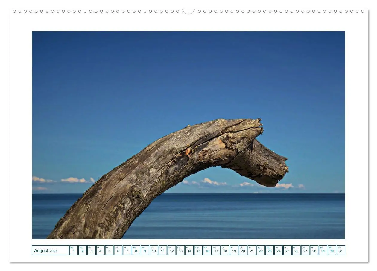 Bild: 9783457308530 | Der Weststrand am Darß (hochwertiger Premium Wandkalender 2026 DIN...