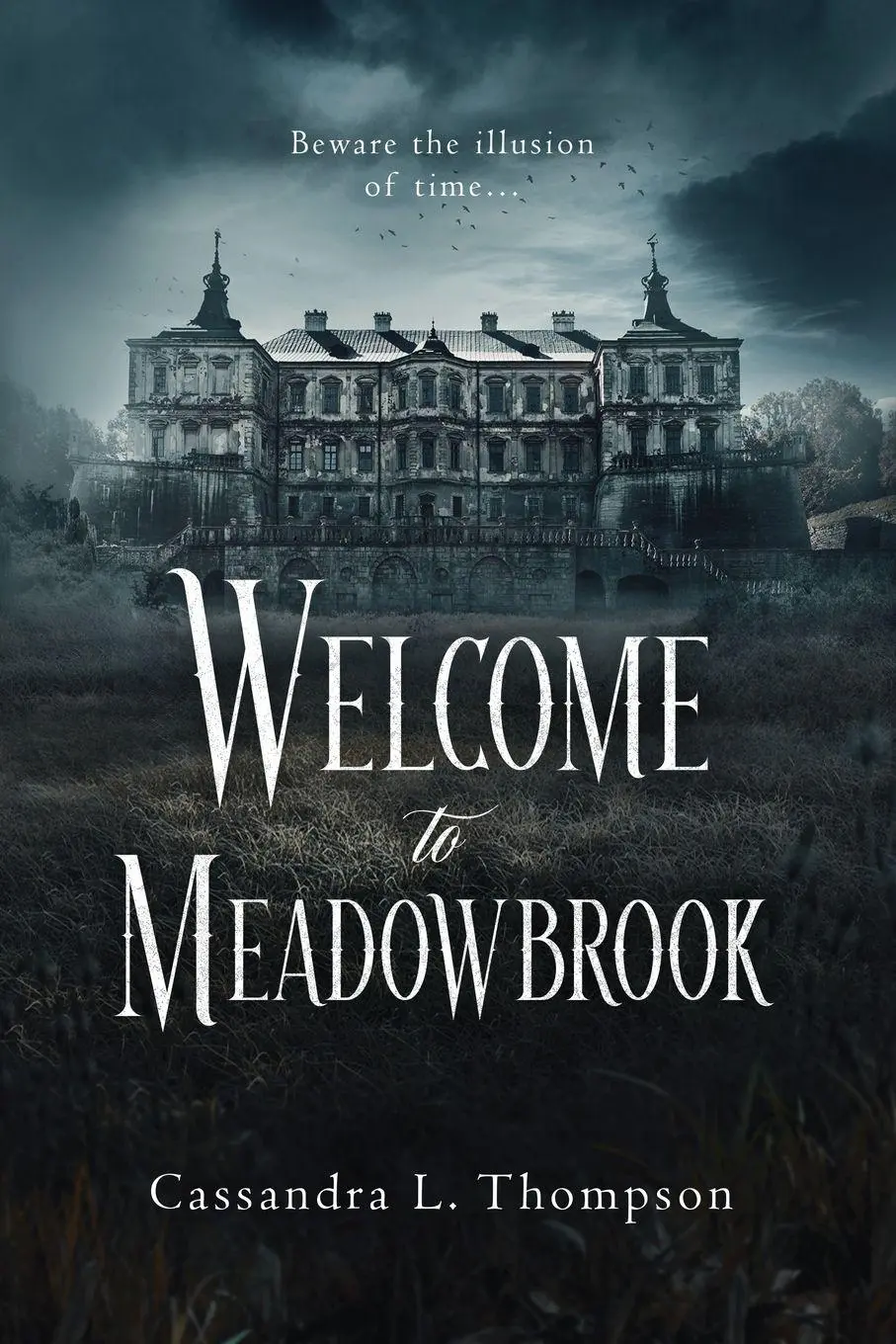 Cover: 9781958228630 | Welcome to Meadowbrook | Cassandra L. Thompson | Taschenbuch | 2024