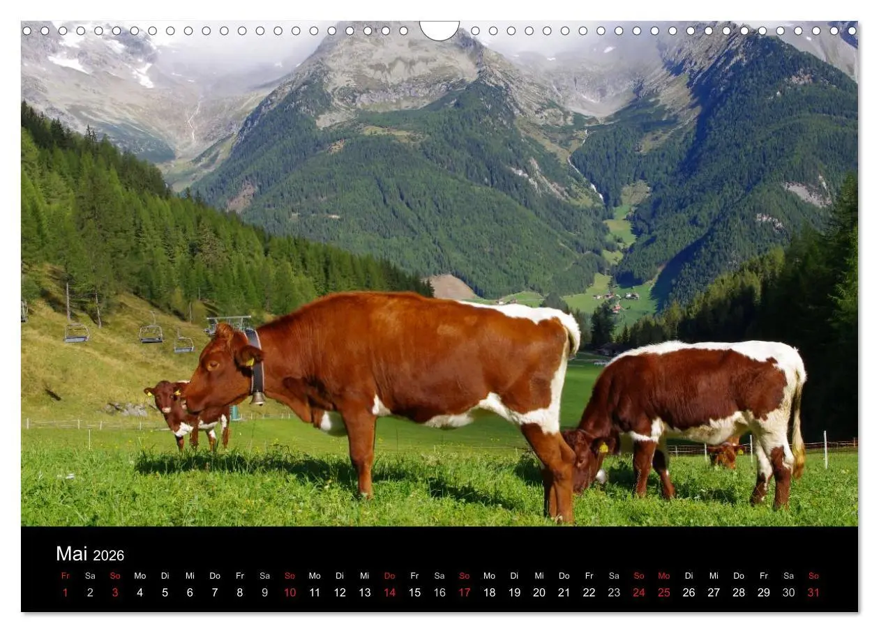 Bild: 9783516178630 | Südtirol 2026 (Wandkalender 2026 DIN A3 quer), CALVENDO Monatskalender