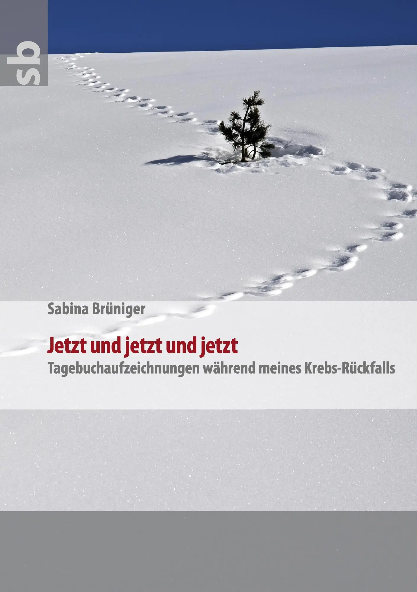 Cover: 9783842338630 | Jetzt und jetzt und jetzt | Sabina Brüniger | Taschenbuch | 180 S.
