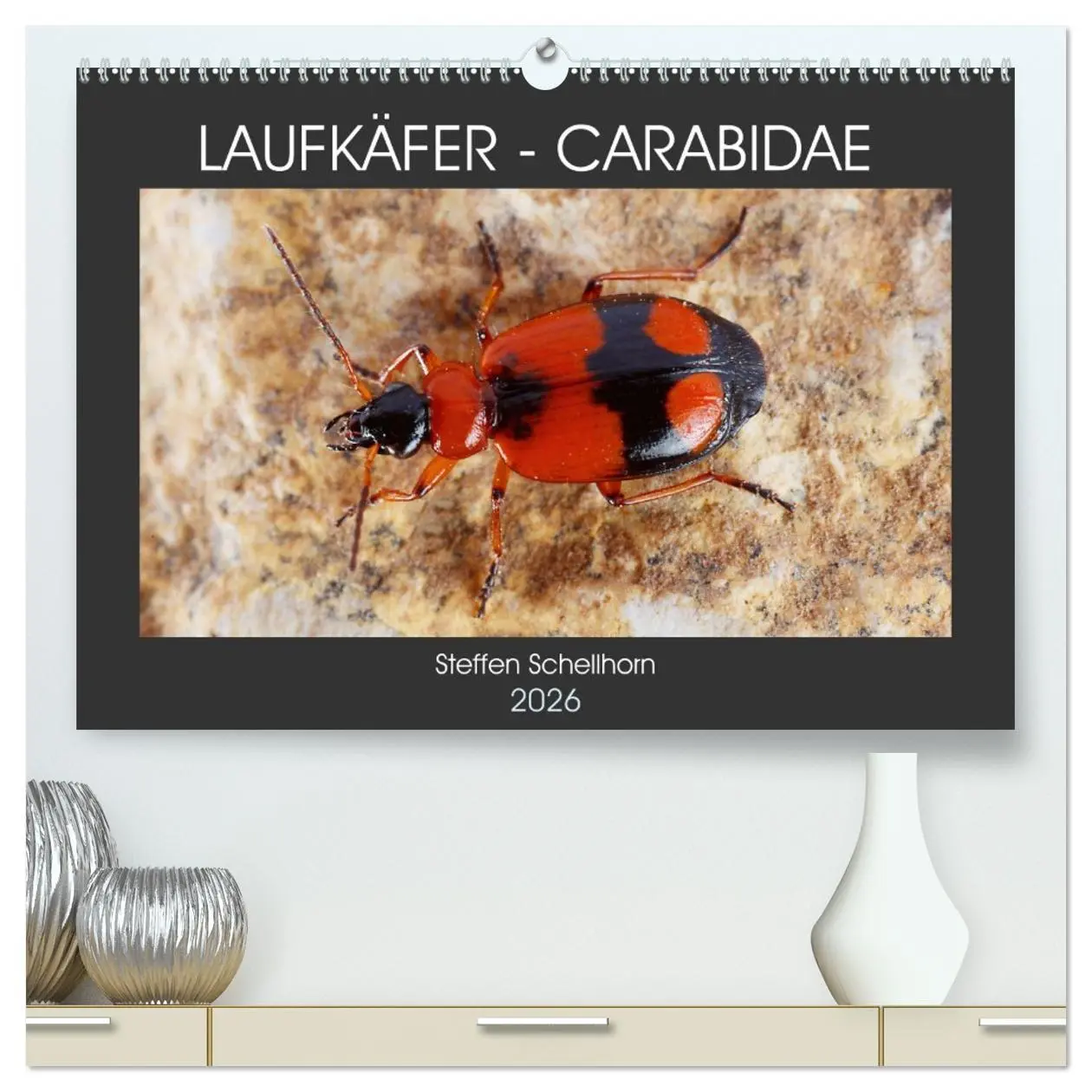 Cover: 9783457458730 | LAUFKÄFER - CARABIDAE (hochwertiger Premium Wandkalender 2026 DIN...