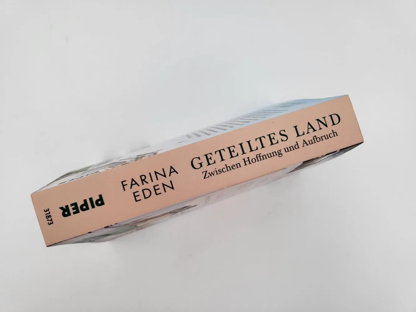 Autor: 9783492318730 | Geteiltes Land - Zwischen Hoffnung und Aufbruch | Farina Eden | Buch