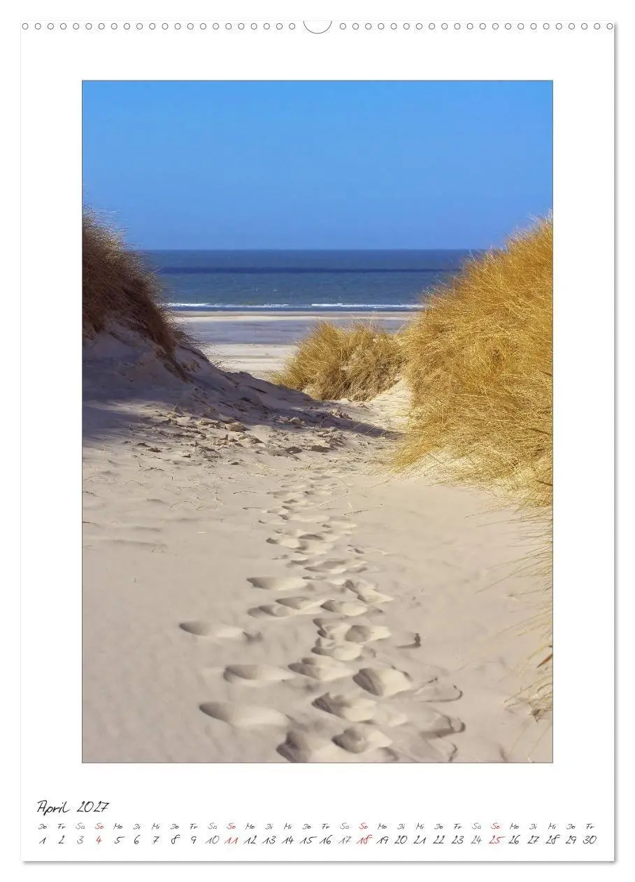 Bild: 9783594218730 | Insel Amrum (hochwertiger Premium Wandkalender 2027 DIN A2 hoch),...