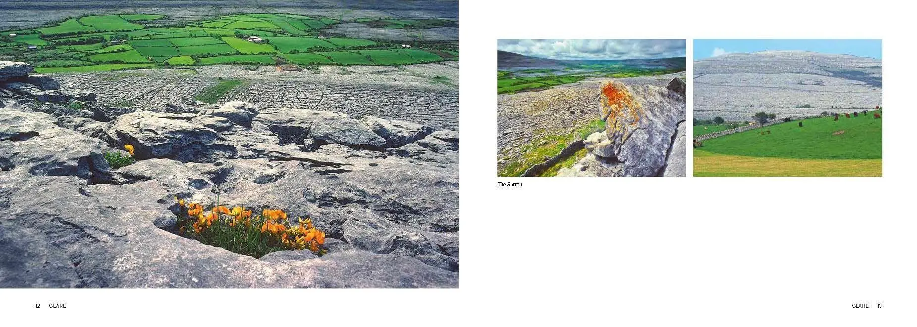 Bild: 9783716518830 | Magic Ireland | Legends and Landscapes | Gabrielle Alioth | Buch