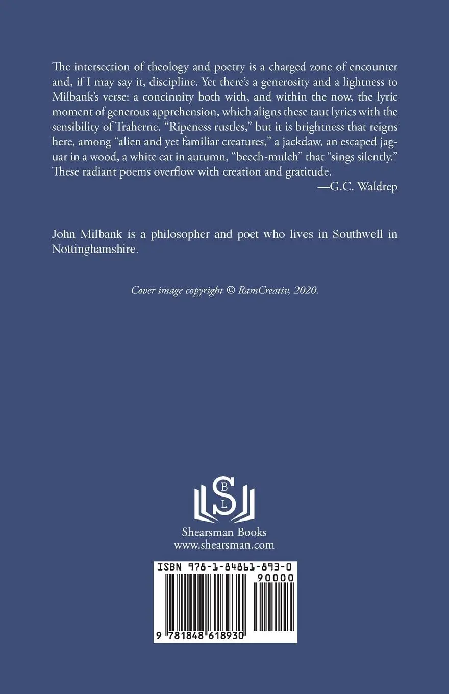 Rückseite: 9781848618930 | Some Speaking Swirls | John Milbank | Taschenbuch | Englisch | 2023