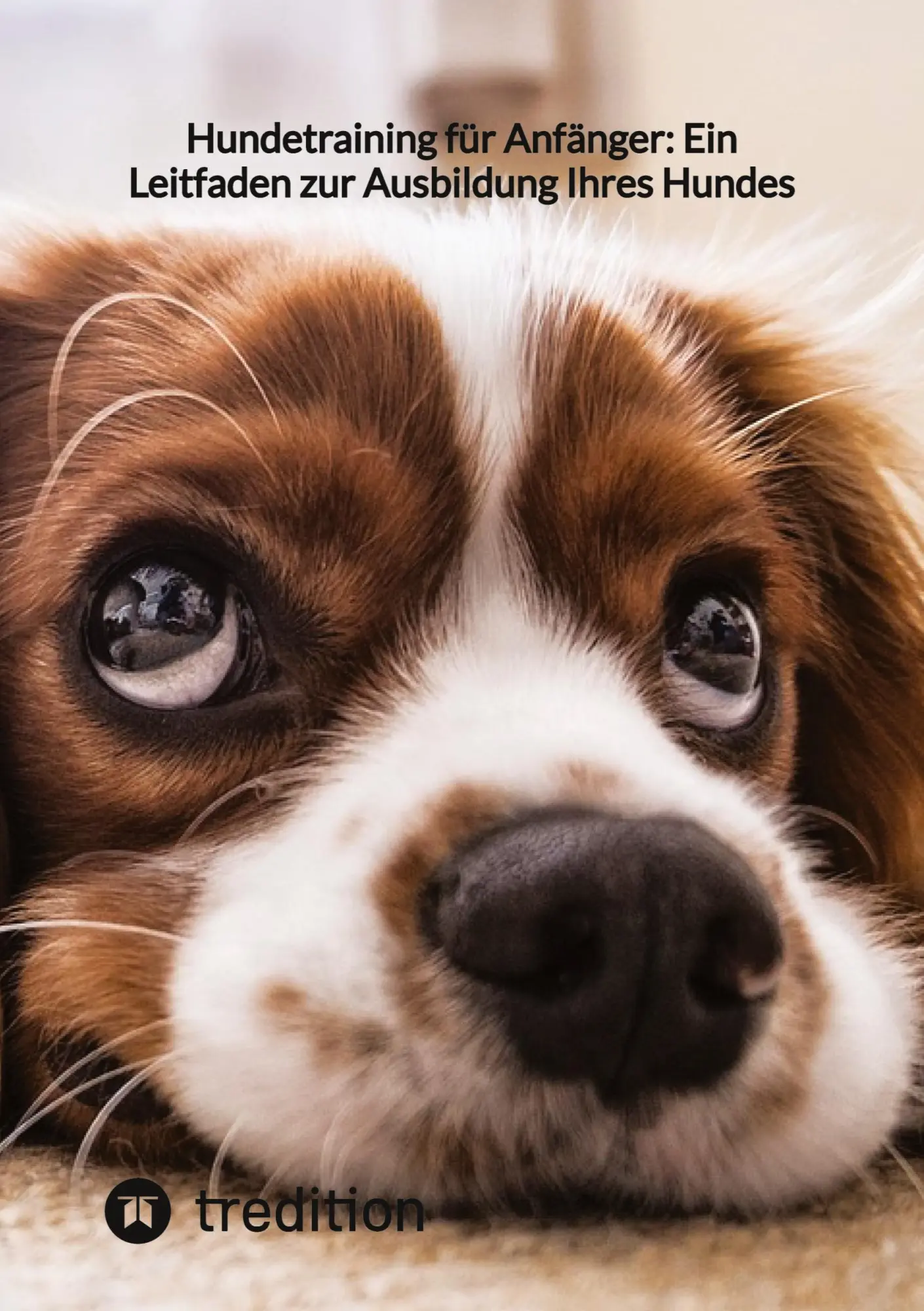 Cover: 9783347858930 | Hundetraining für Anfänger: Ein Leitfaden zur Ausbildung Ihres Hundes
