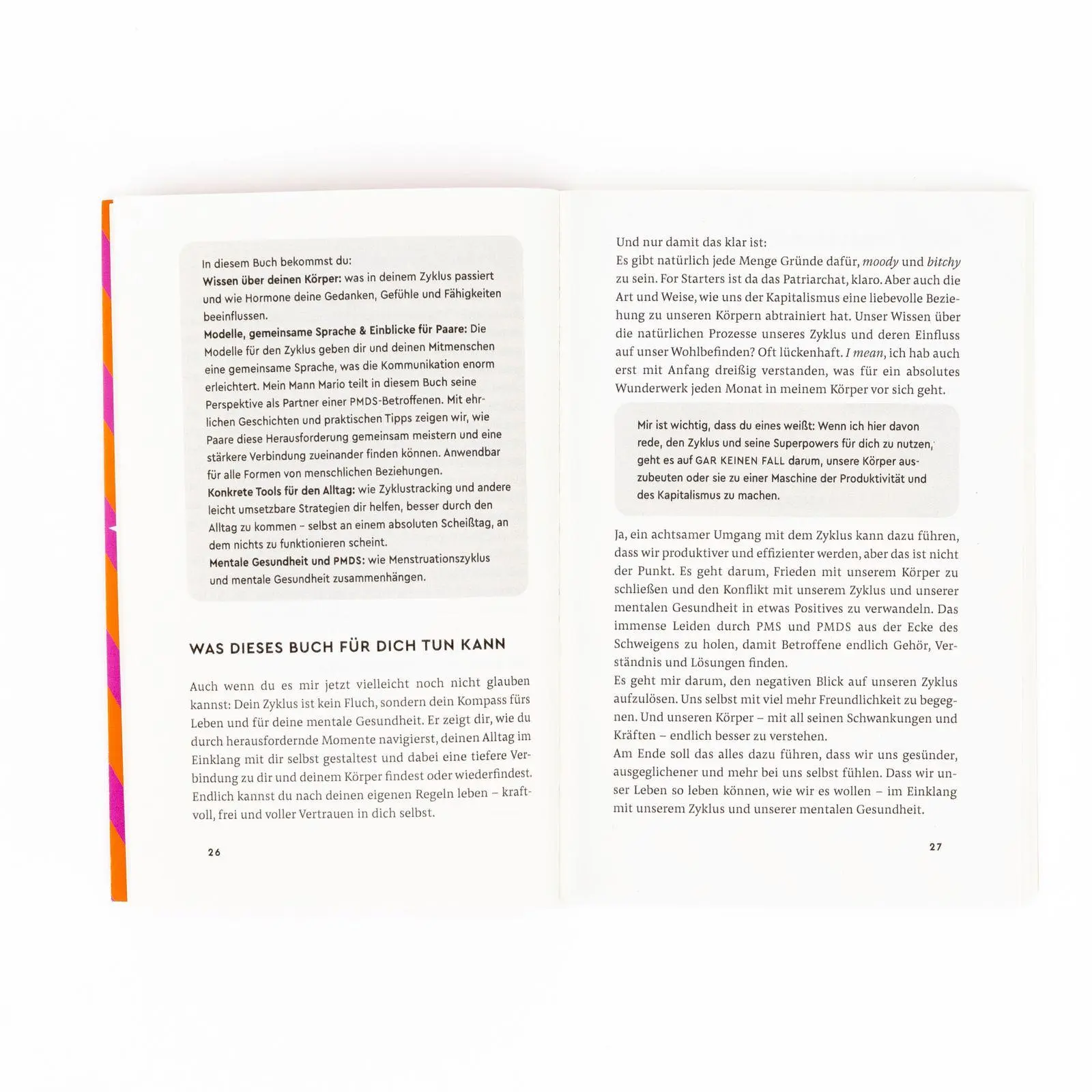 Bild: 9783499018930 | Zyklus Power | Franzi Ruhnau | Taschenbuch | 288 S. | Deutsch | 2026