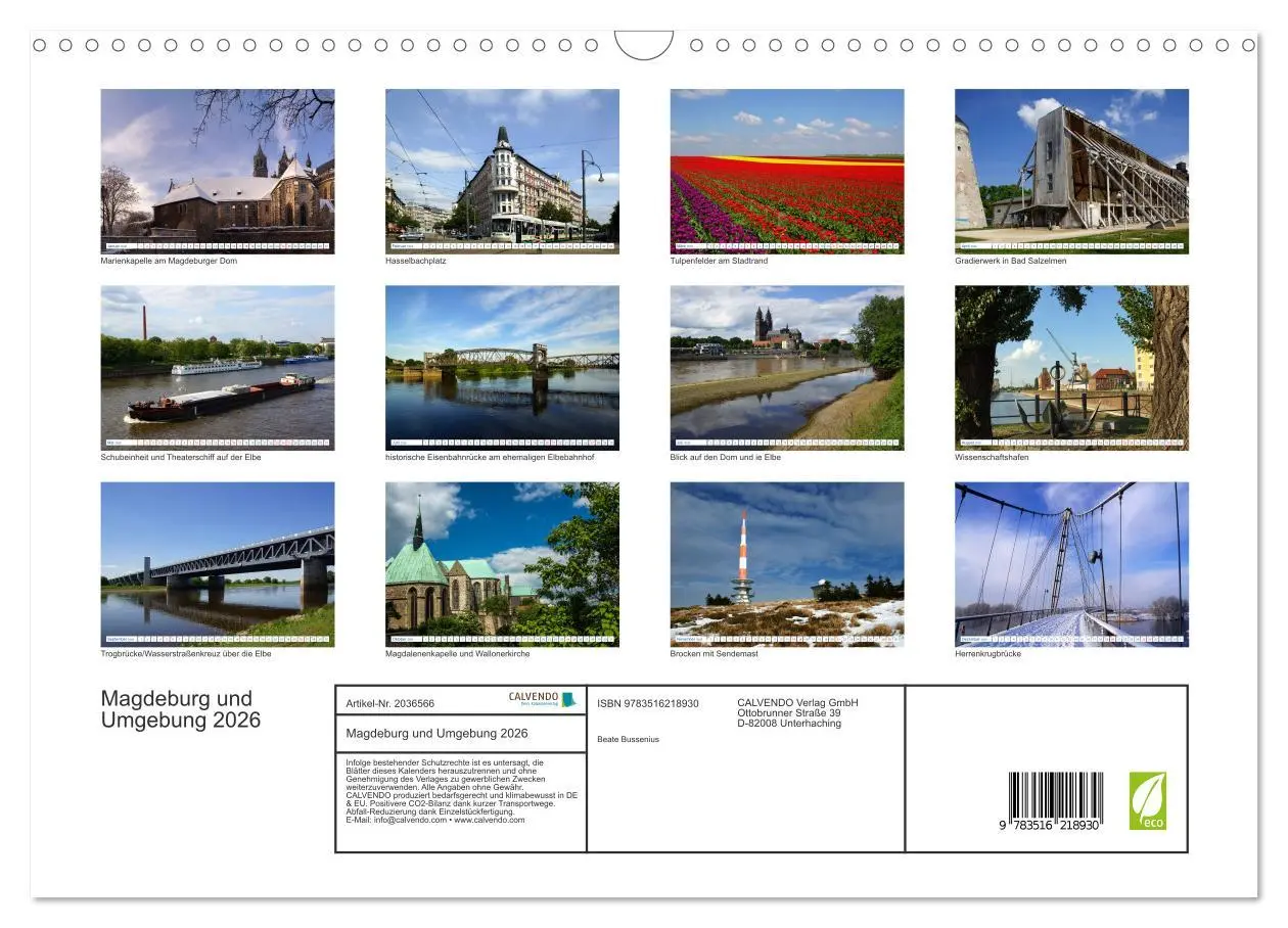 Bild: 9783516218930 | Magdeburg und Umgebung 2026 (Wandkalender 2026 DIN A3 quer),...