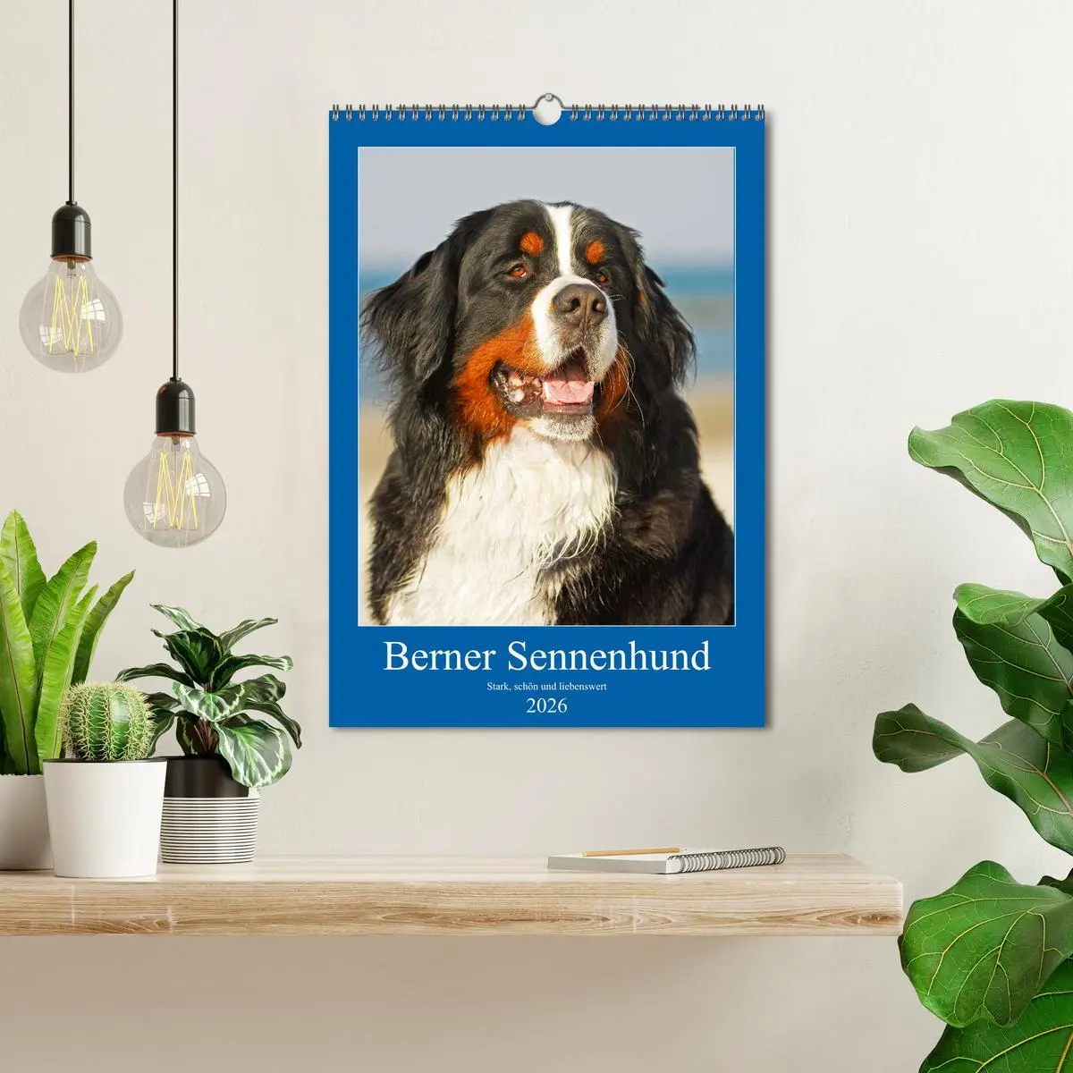 Bild: 9783516388930 | Berner Sennenhund - stark , schön und liebenswert (Wandkalender...