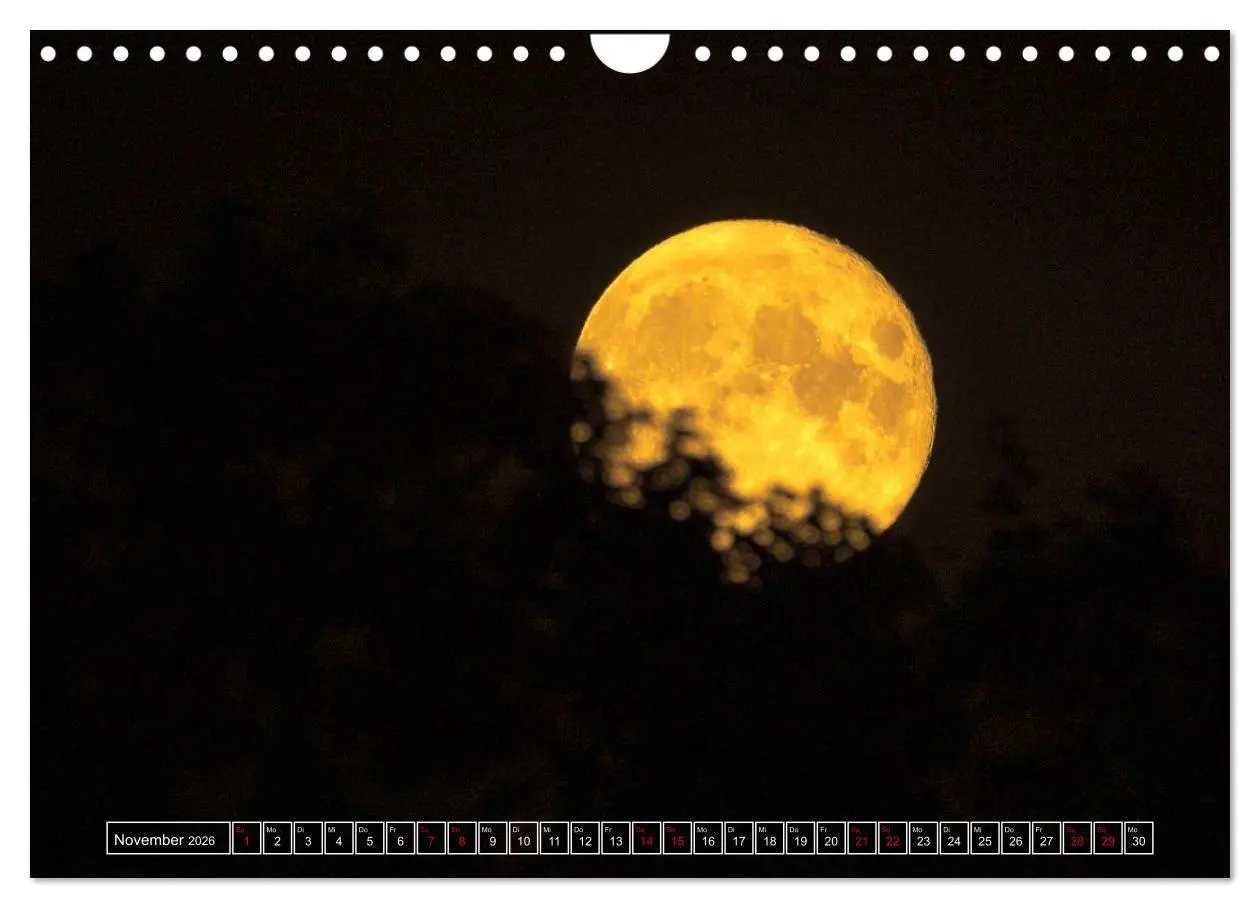 Bild: 9783516698930 | Faszination Mond - der etwas andere Mondkalender (Wandkalender 2026...