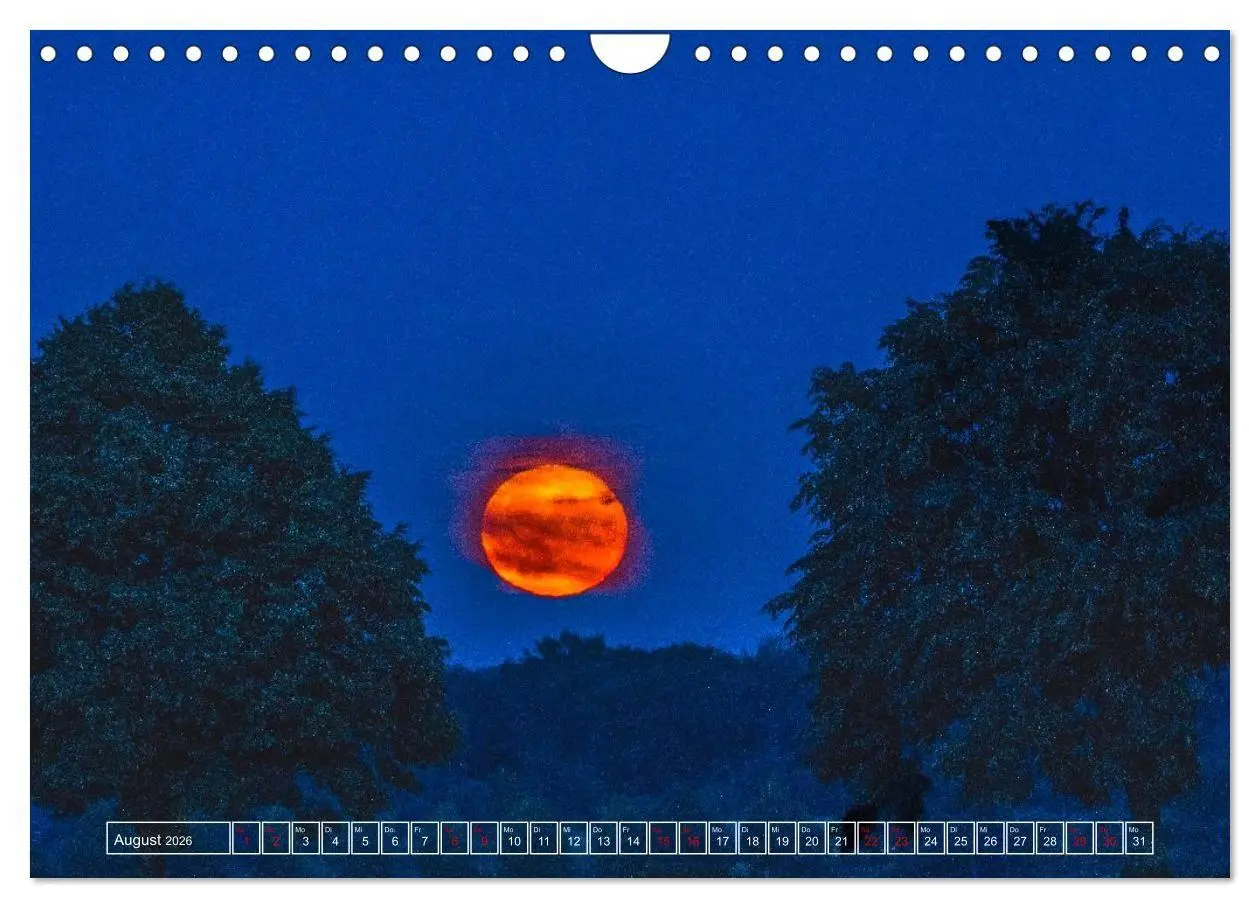 Bild: 9783516698930 | Faszination Mond - der etwas andere Mondkalender (Wandkalender 2026...