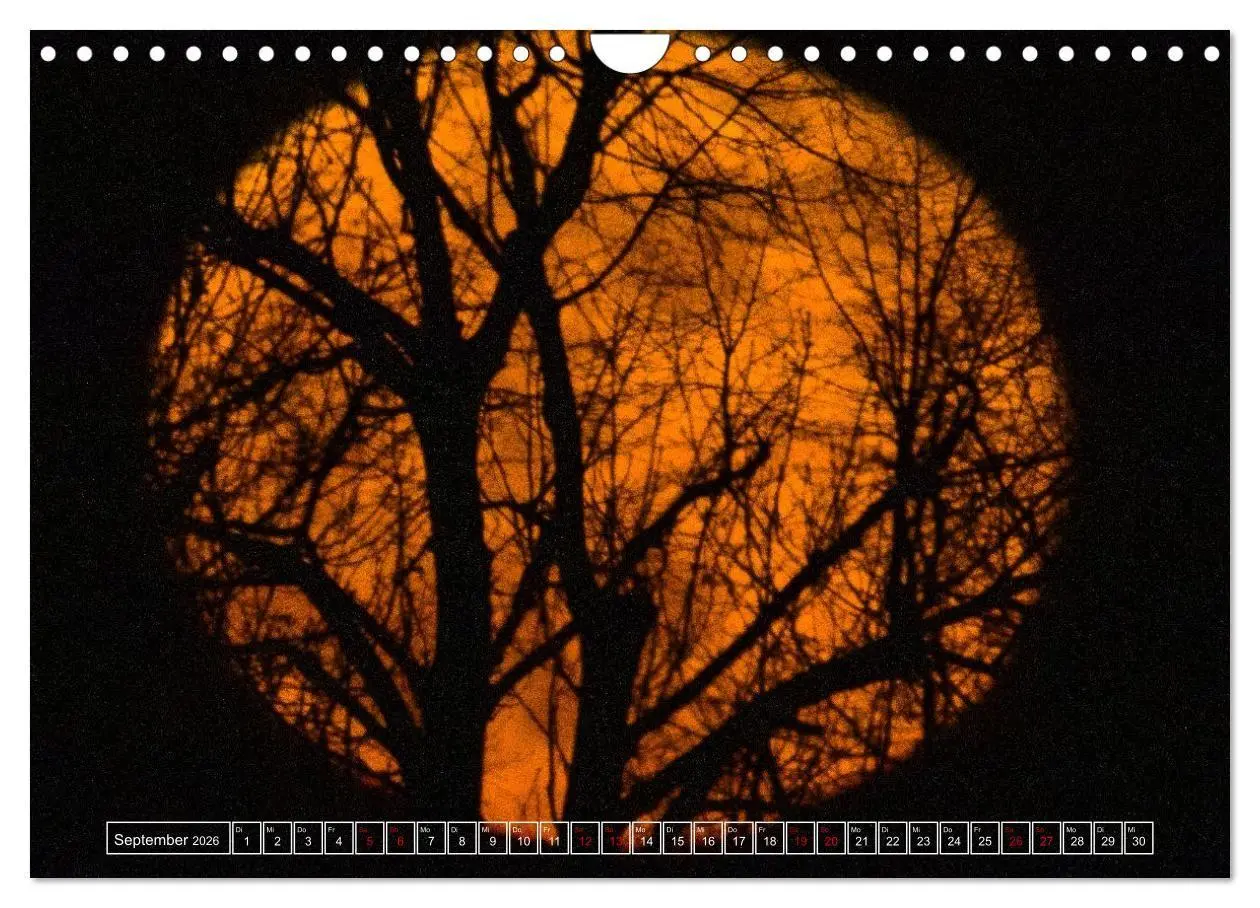 Bild: 9783516698930 | Faszination Mond - der etwas andere Mondkalender (Wandkalender 2026...