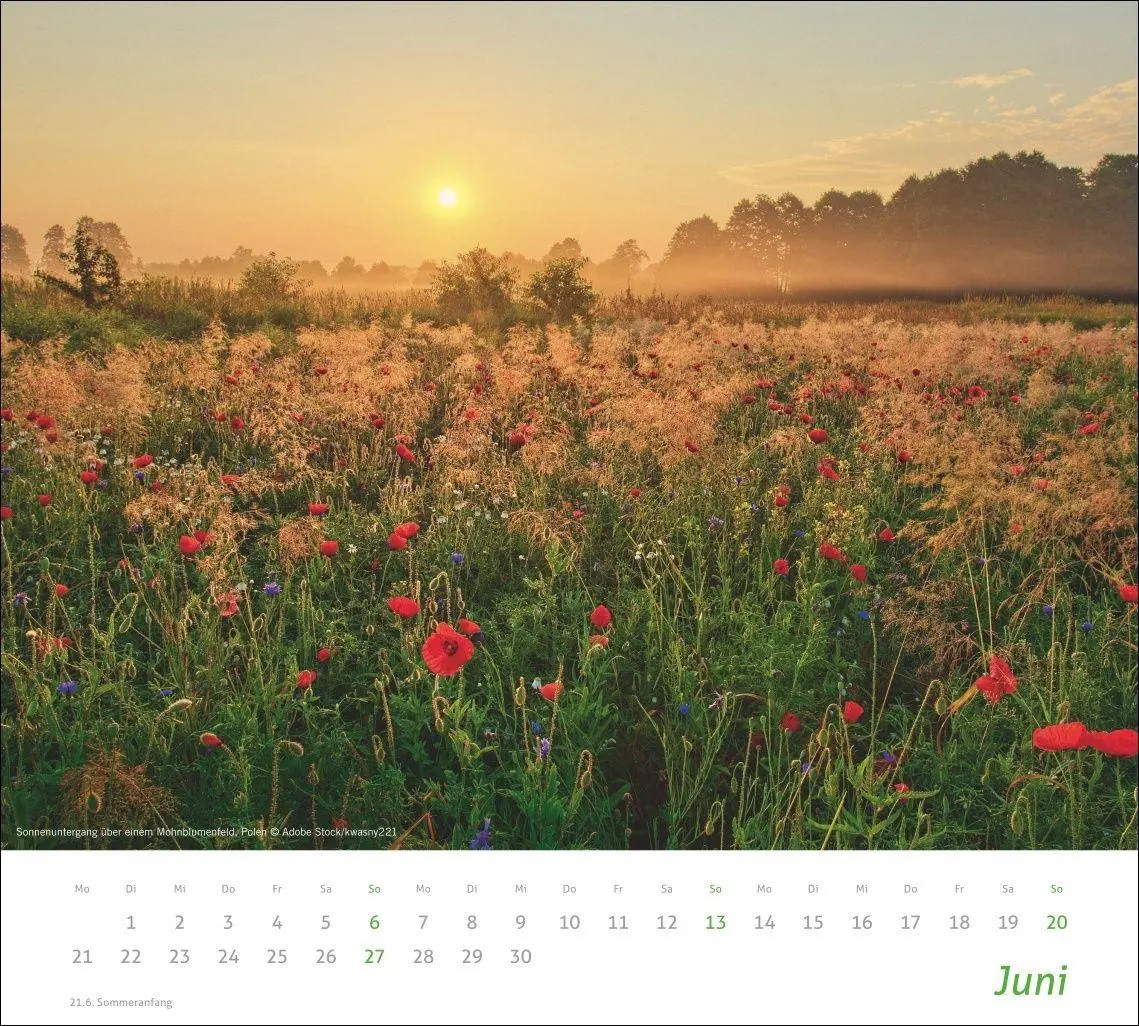 Bild: 9783756418930 | times&amp;more Sonnige Momente Bildkalender 2027 | Kalender | 14 S. | 2027