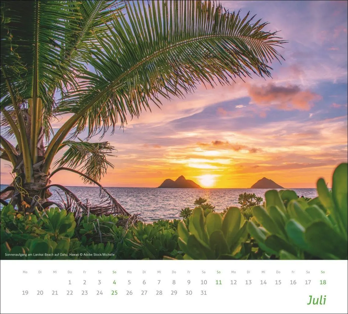 Bild: 9783756418930 | times&amp;more Sonnige Momente Bildkalender 2027 | Kalender | 14 S. | 2027