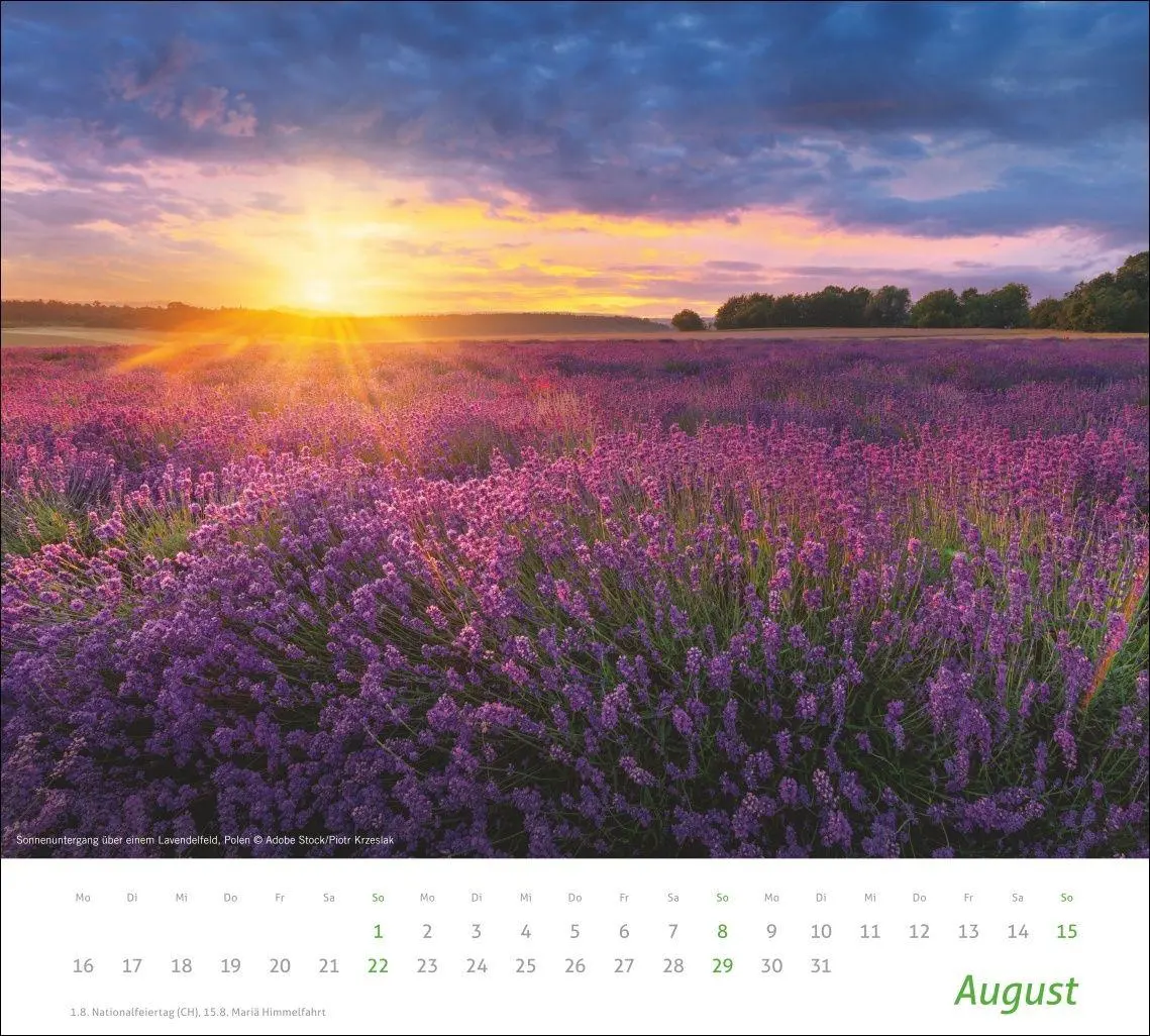 Bild: 9783756418930 | times&amp;more Sonnige Momente Bildkalender 2027 | Kalender | 14 S. | 2027