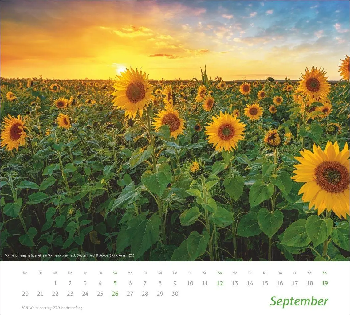Bild: 9783756418930 | times&amp;more Sonnige Momente Bildkalender 2027 | Kalender | 14 S. | 2027
