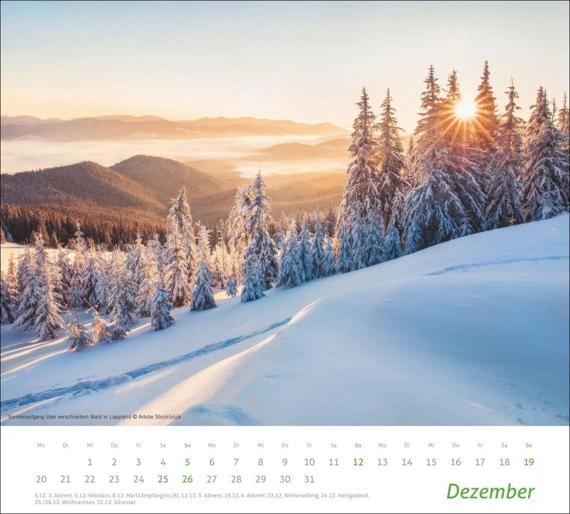 Bild: 9783756418930 | times&amp;more Sonnige Momente Bildkalender 2027 | Kalender | 14 S. | 2027