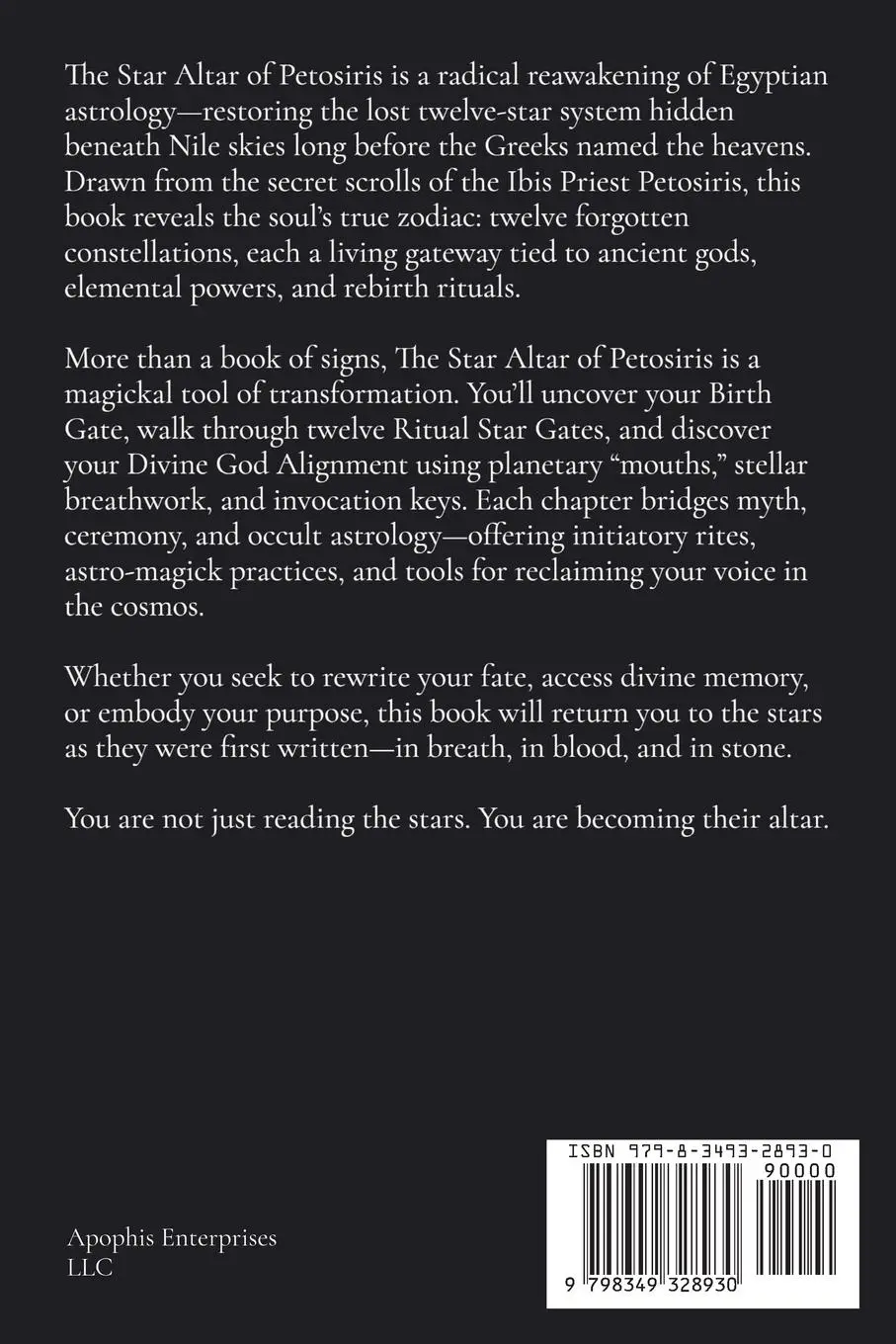 Rückseite: 9798349328930 | The Star Altar of Petosiris | Matthew Petchinsky | Taschenbuch | 2025