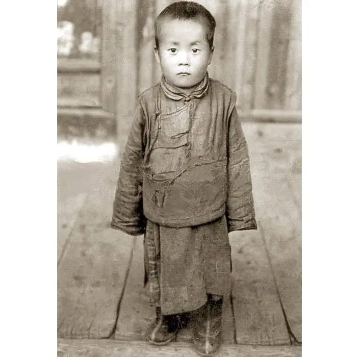 Bild: 9783458179030 | Dalai Lama | Eine illustrierte Biografie | Tenzin Geyche Tethong