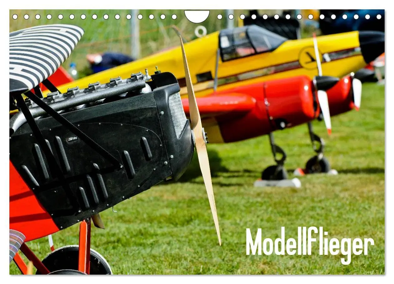 Cover: 9783516109030 | Modellflieger / CH-Version (Wandkalender 2026 DIN A4 quer),...